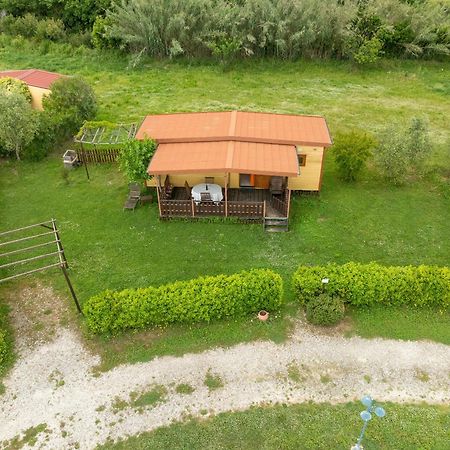 Agriturismo Nonna Stella Bibbona Bagian luar foto
