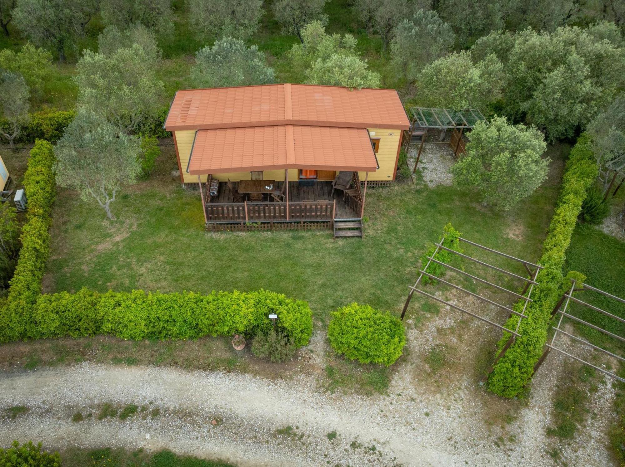 Agriturismo Nonna Stella Bibbona Bagian luar foto