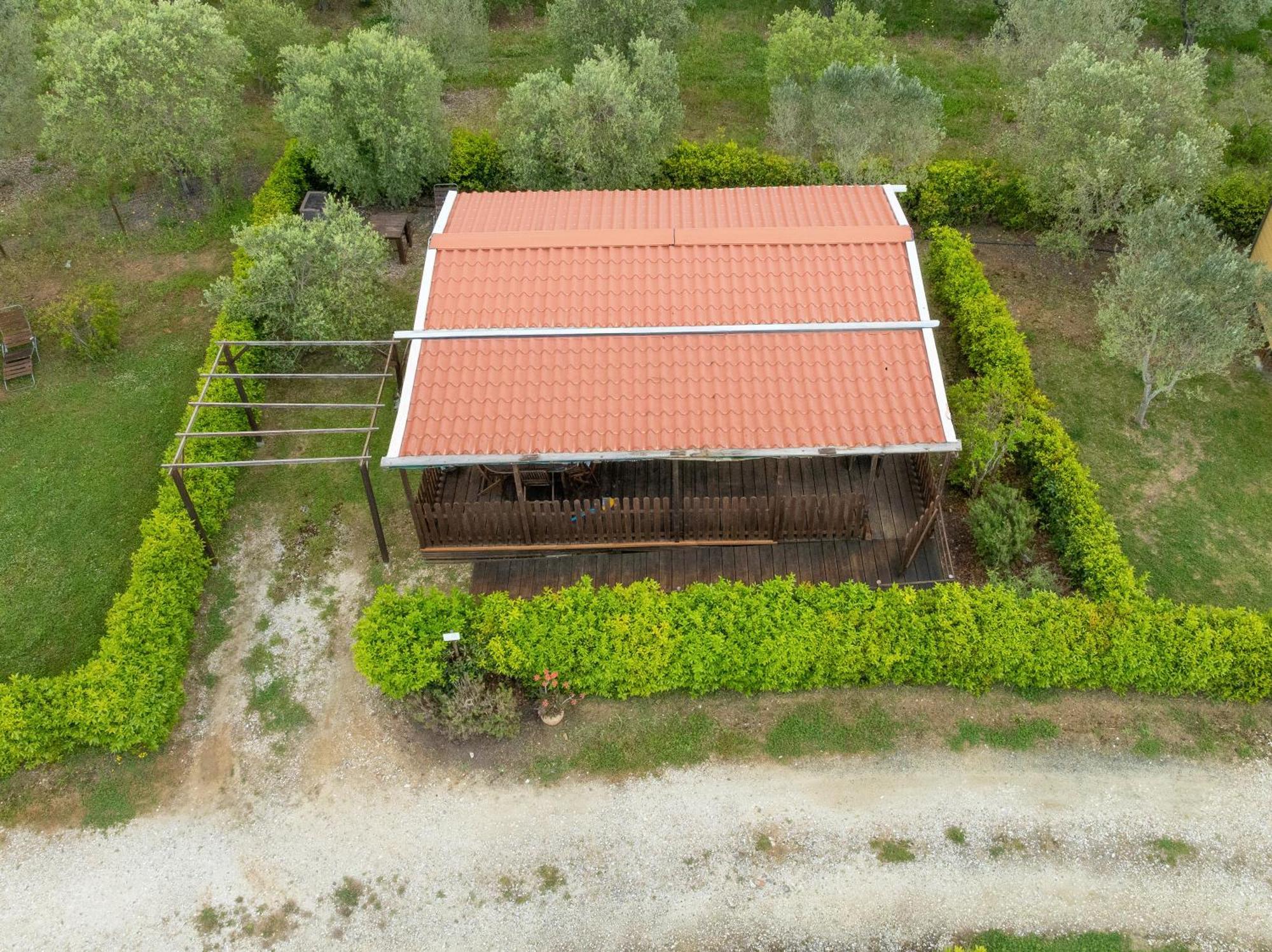 Agriturismo Nonna Stella Bibbona Bagian luar foto